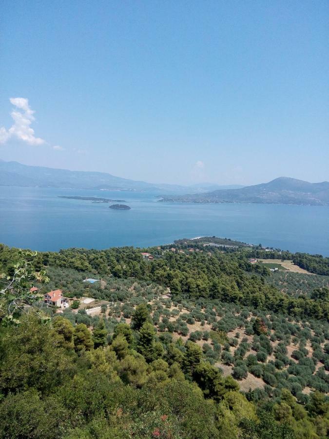 Anastasia - Efthimios Apartments Agios Konstantinos  Εξωτερικό φωτογραφία